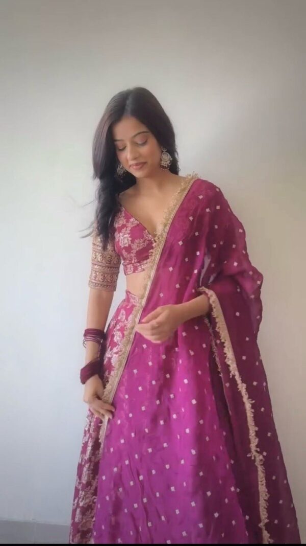 Jacquard Embroidered Lehenga with Can-Can - Image 7